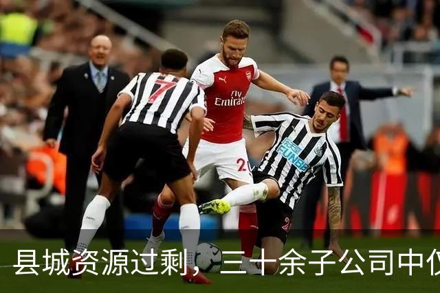 县城资源过剩，三十余子公司中仅一半运作正常